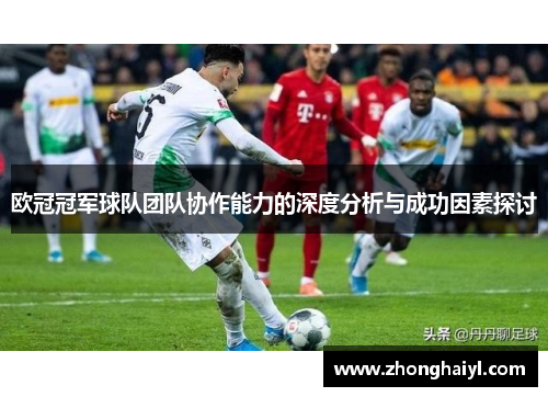 欧冠冠军球队团队协作能力的深度分析与成功因素探讨