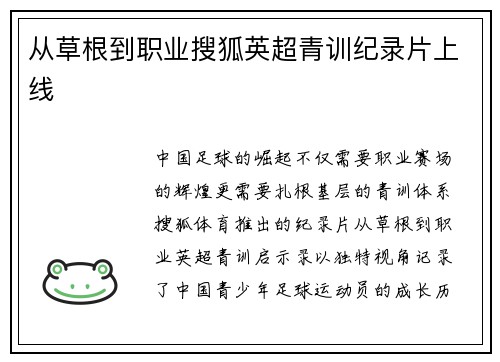 从草根到职业搜狐英超青训纪录片上线