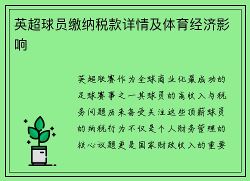 英超球员缴纳税款详情及体育经济影响